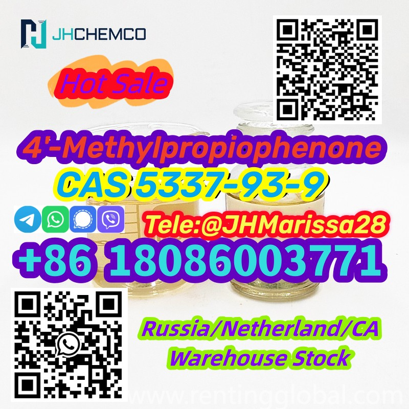 www.rentingglobal.com, renting, global, 2051 Marengo St, Los Angeles, CA 90033, USA, 4'-methylpropiophenone, Trustworthy Supply CAS 5337-93-9 4'-Methylpropiophenone Threema: Y8F3Z5CH		
