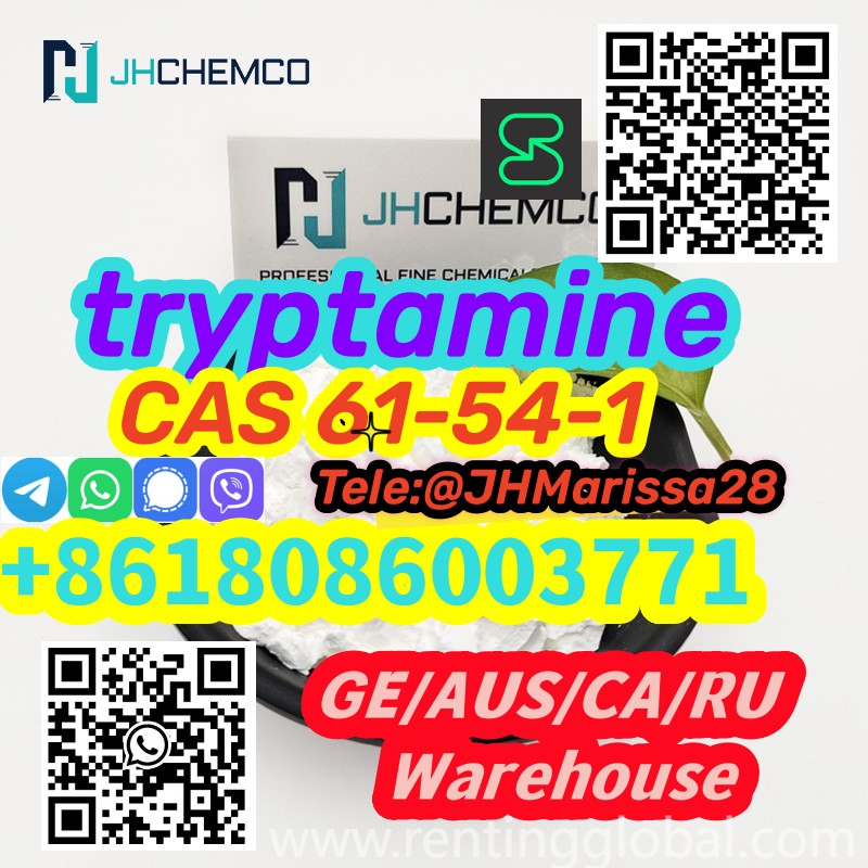 www.rentingglobal.com, renting, global, Parking lot, 520 E Temple St, Los Angeles, CA 90012, USA, cas 61-54-1, Superior Quality Low Price CAS 61-54-1  tryptamine Threema: Y8F3Z5CH		