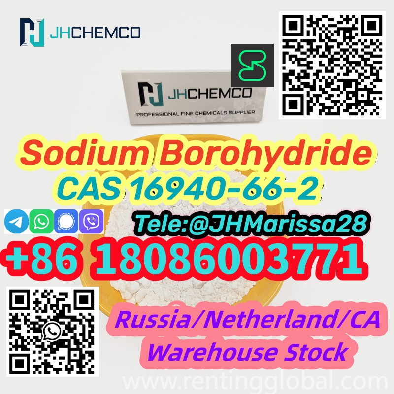 www.rentingglobal.com, renting, global, 2300 E 15th St, Los Angeles, CA 90021, USA, cas 16940-66-2, Best Sale CAS 16940-66-2 Sodium Borohydride Secured Delivery  Threema: Y8F3Z5CH		