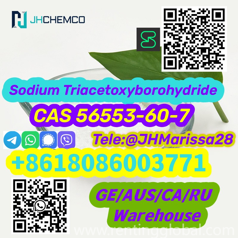 www.rentingglobal.com, renting, global, 560 Main St, Los Angeles, CA 90013, USA, cas 56553-60-7, Preferential Price CAS 56553-60-7 Sodium Triacetoxyborohydride Threema: Y8F3Z5CH		