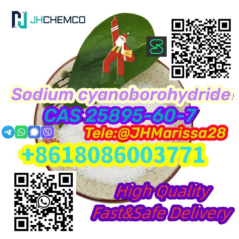 www.rentingglobal.com, renting, global, 855 N Vermont Ave, Los Angeles, CA 90029, USA, sodium cyanoborohydride, 99% Purity Low Price CAS 25895-60-7 Sodium cyanoborohydride Threema: Y8F3Z5CH		