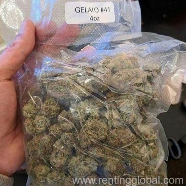www.rentingglobal.com, renting, global, California, USA, where to buy medical marijuana oline http://420familyweedshop.com/