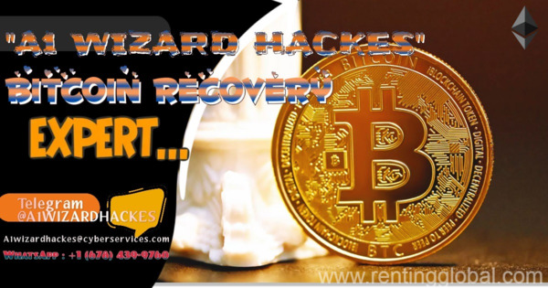 www.rentingglobal.com, renting, global, 12 Main St N, Brampton, ON L6V 1N6, Canada, bitcoin cryptocurrency, Hire a cryptocurrency recovery experts to recover lost crypto investment and stolen crypto
