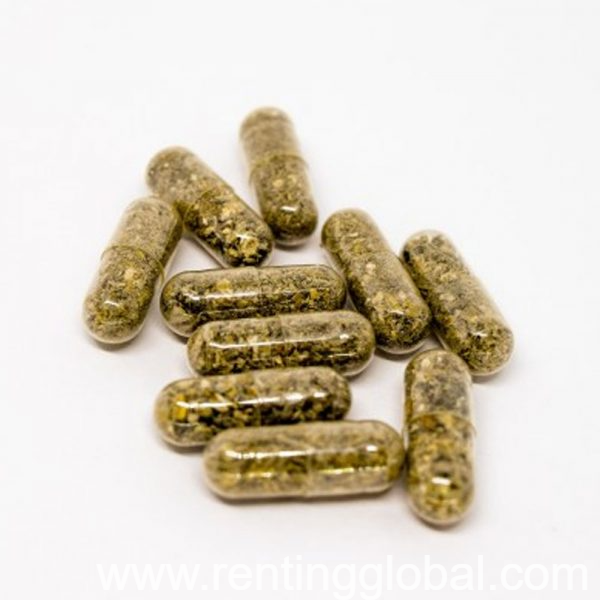 www.rentingglobal.com, renting, global, Vancouver, BC, Canada, capsules, Micro Pills