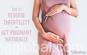 www.rentingglobal.com, renting, global, Centurion, South Africa, fertility spells,pregnancy spells,infertility curses healing, Centurion Heal Infertility Spells In Midrand Irene Tembisa Pregnancy Spells Dr Hamphrey +27658618942