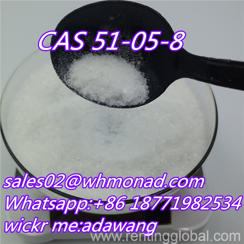 www.rentingglobal.com, renting, global, Canada, cas 51-05-8,procaine hydrochloride,anesthesia, 99.5% Anti-Inflammatory Anesthetic Anodyne Procaine Hydrochloride CAS 51-05-8