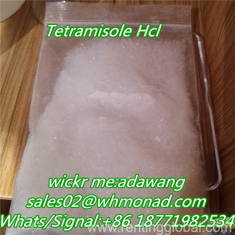 www.rentingglobal.com, renting, global, United States, tetramisole hcl  powder, Where to buy Tetramisole Hydrochloride/Tetramisole HCl CAS: 5086-74-8 supplier,bulk in stock