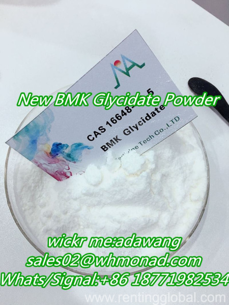 www.rentingglobal.com, renting, global, Russia, bmk glycidate,bmk oil, Safe to Europe,CAS 16648-44-5 BMK Glycidate Powder China Supplier and factory