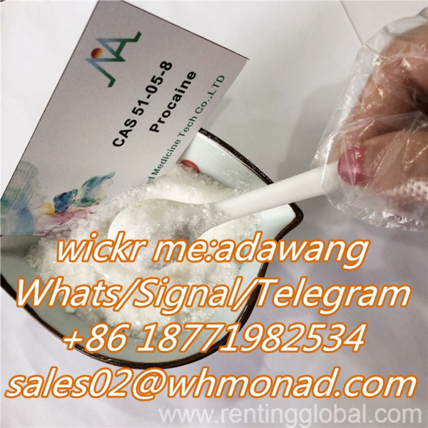 www.rentingglobal.com, renting, global, United States, procaine,procaine powder,procaine hcl powder, Supply Procaine Hydrochloride / Procaine HCl Supplier CAS 51-05-8 for Local Anesthetic