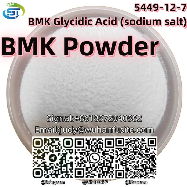 www.rentingglobal.com, renting, global, 1 Rue Fleury, 75018 Paris, France, bmk, CAS 5449-12-7 BMK Glycidic Acid (sodium salt) BMK Powder Liquid