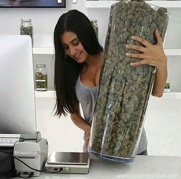 www.rentingglobal.com, renting, global, California City, CA, USA, Top quality medical marijuana for discreet delivery 