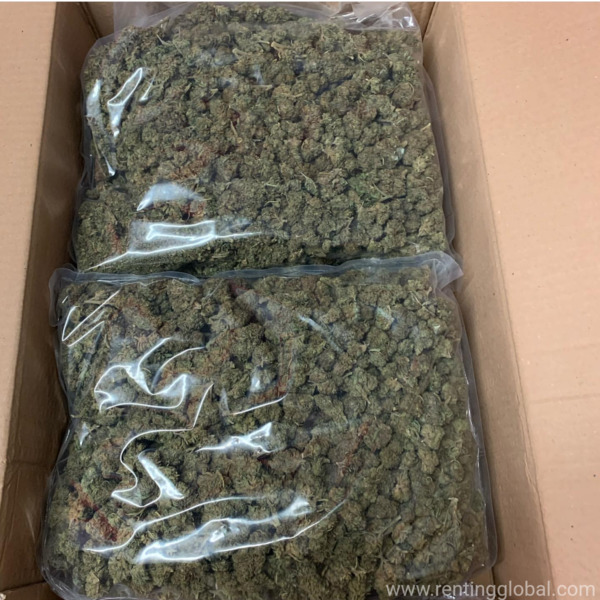www.rentingglobal.com, renting, global, California City, CA, USA, Top quality medical marijuana for discreet delivery 