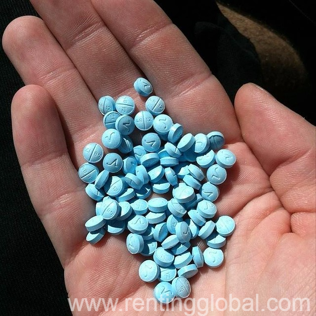 www.rentingglobal.com, renting, global, WV-34, Hurricane, WV, USA,  PAIN, NERVE & ANXIETY MEDICATIONS, FENTENYL, XANAX, NEMBUTAL, MDPV, HYDRO, ADDERRALL, PERCS AVAILABLE