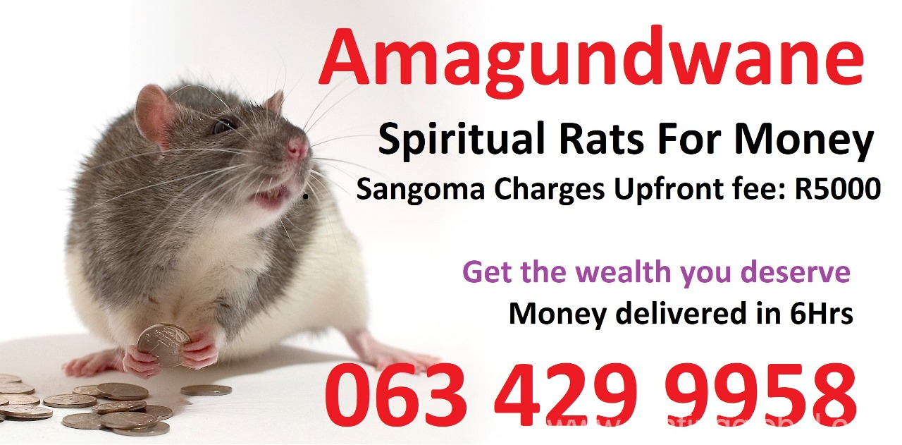 www.rentingglobal.com, renting, global, London, UK, spiritual healer,sangoma,spiritual rats,money spells,usa,uk,canada,cars,phones, Get the wealth you deserve with Spiritual Rats, Money Spells in usa uk Amagundwane Sangoma +27634299958
