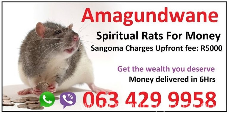 www.rentingglobal.com, renting, global, Cambridge, UK, spiritual rats,sangoma,money spell caster,voodoo spells,love spells,sangoma,inyanga, Strong Money Spells in United States (USA) | spiritual rats for money spell caster 0634299958