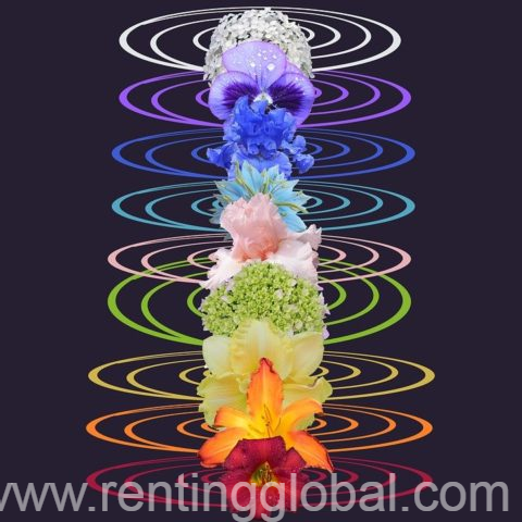 www.rentingglobal.com, renting, global, 26845 Codogno, Province of Lodi, Italy, traditional healers,spiritual healer,sangoma,love spells,witchcraft spells,hex removal spell,marriage spells,protection spell,money spells, African powerful traditional healer lost love spell sangoma whatapp/call +27634299958