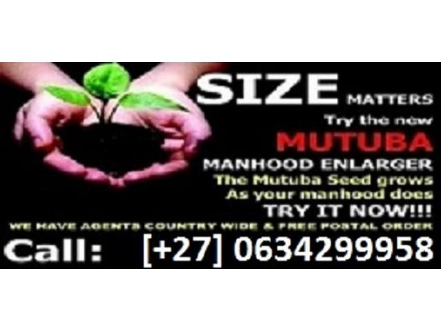 www.rentingglobal.com, renting, global, Cape Town, South Africa, mutuba seed,penis enlargement,penois enhancement,penis enlarger,congo dust, south africa's best Mutuba seed product the top international Penis Enlargement uk usa Switzerland +27634299958