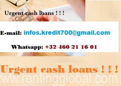 www.rentingglobal.com, renting, global, Edmonton, AB, Canada, Loan Offer 100% of Guarantee.