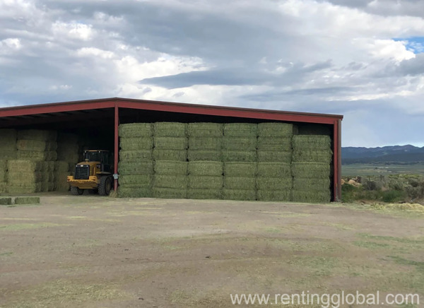 www.rentingglobal.com, renting, global, Texas City, TX, USA, hay for sale, Premium hay for sale