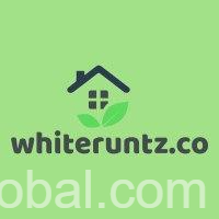 www.rentingglobal.com, renting, global, Calgary, AB, Canada, Buy White Runtz Weed Online | Buy Marijuana Online at https://whiteruntz.co/