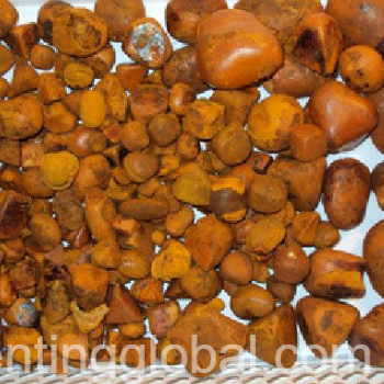 www.rentingglobal.com, renting, global, Durban, South Africa, Top quality ox gallstones/cattle gallstones/animal gallstone