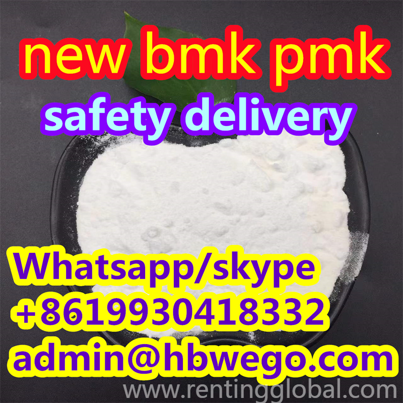www.rentingglobal.com, renting, global, Chicago, IL, USA, CAS 236117-38-7 2-Iodo-1-(4-methylphenyl)-1-propanone
