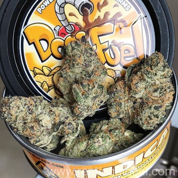www.rentingglobal.com, renting, global, San Francisco, CA, USA, medical cannabis, Top shelf medical cannabis available
