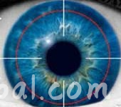 www.rentingglobal.com, renting, global, Philippines, detective, investigation, cheating partners, background investigation, missing person, surveillance, Private Detective and Investigation