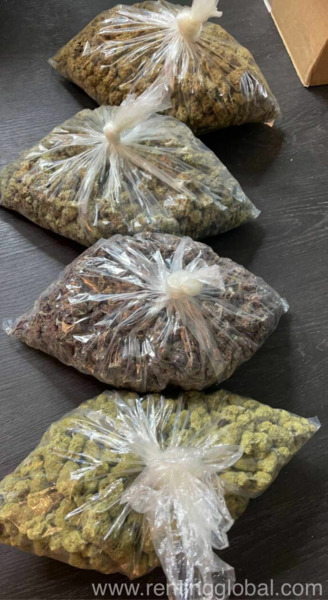 www.rentingglobal.com, renting, global, Queens, NY, USA, shrooms, Shrooms for sale 