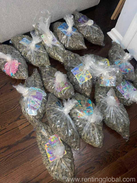 www.rentingglobal.com, renting, global, Highland Park, IL 60035, USA, weed, Xanax for sale