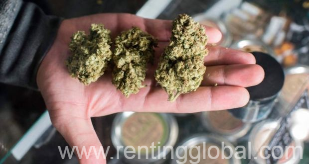 www.rentingglobal.com, renting, global, Huntington Beach, CA, USA, TOP SHELF, QUALITY UNITS; FLOWERS, WAX AND CARTRIDGES W