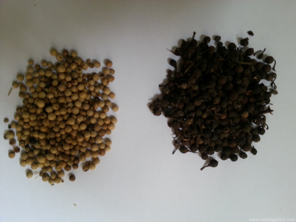www.rentingglobal.com, renting, global, Douala, Cameroon, AGRICULTURAL PRODUCTS OF HIGH QUALITY 