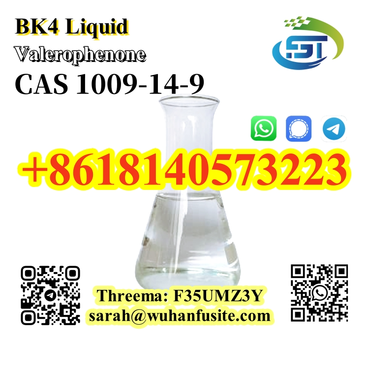 www.rentingglobal.com, renting, global, Wuhan, Hubei, China, cas 1009-14-9, CAS 1009-14-9 BK4 Liquid Valerophenone with High Purity