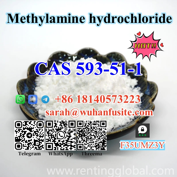www.rentingglobal.com, renting, global, Wuhan, Hubei, China, cas 593-51-1, Factory Supply CAS 593-51-1 BK4 Methylamine hydrochloride with High Purity