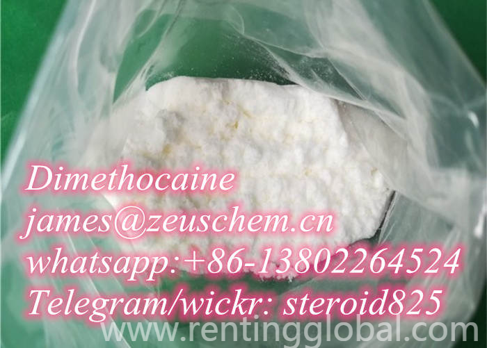 www.rentingglobal.com, renting, global, China, tetracaine,procaine,lidocaine,benzocaine,dimethocaine,prilocaine, sell ,Procaine,Lidocaine,Benzocaine,Dimethocaine,Prilocaine,james@curepharmas.com