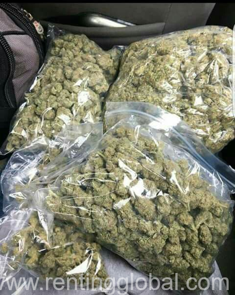 www.rentingglobal.com, renting, global, Ontario, CA, USA, afghan kush | best marijuana weed, order and get free shipping, High Grade Medical Marijuana Sativa and Indica strains, Hash, (RSO), BHO, HEMP OILS, THC OILS