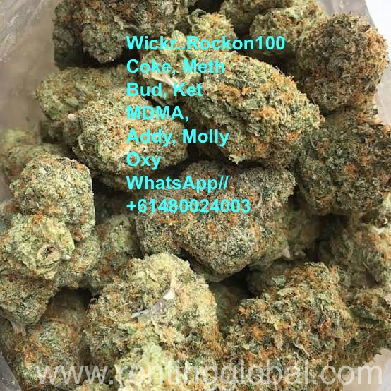 www.rentingglobal.com, renting, global, Australia, Wickr id.. Rockon100, Ice Meth Coke Weed Bud MDMA LSD  Puff GHB Xanax 