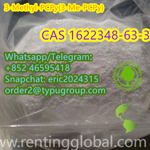 High quality 3-Methyl-PCPy CAS 1622348-63-3Whatsapp: +852 46595418 Snapchat: eric2024315 order2@typugroup.com