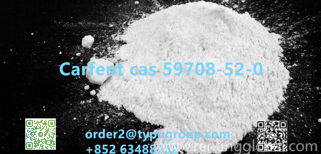 www.rentingglobal.com, renting, global, 2JQM+4VJ, Chang Jiang Da Dao, Yu Hua Qu, Shi Jia Zhuang Shi, He Bei Sheng, China, 050036, carfent	59708-52-0, Carfent	59708-52-0