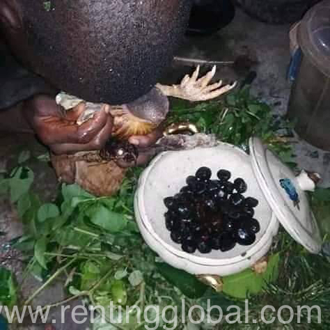 www.rentingglobal.com, renting, global, Nigeria - The World Islands - Dubai - United Arab Emirates, Call or WhatsApp +2347062637212 the best powerful spiritual herbalist in Nigeria 