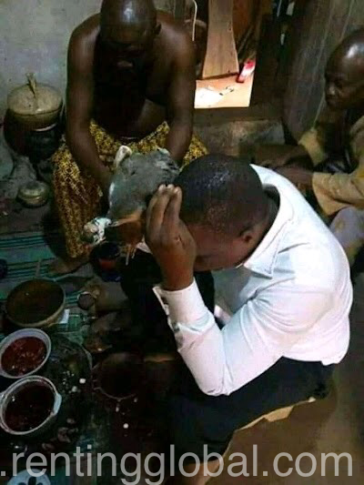 www.rentingglobal.com, renting, global, 2800 N Terminal Rd, Houston, TX 77032, USA, THE BEST TRADITIONAL POWERFUL HERBALIST in Nigeria call or WhatsApp +2347062637212
