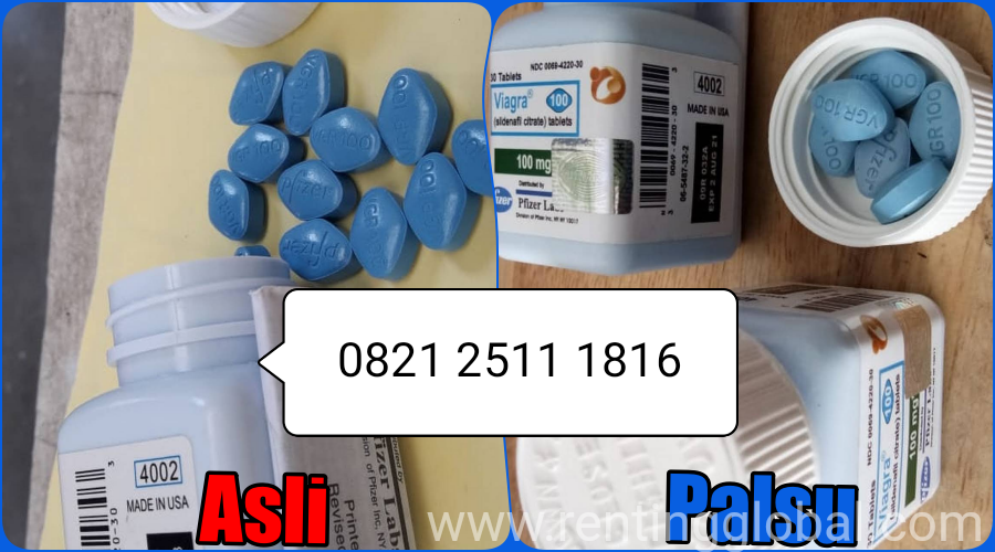 www.rentingglobal.com, renting, global, Tangerang, Tangerang City, Banten, Indonesia, viagra, viagra asli, viagra usa, viagra original, viagra 100mg, obat viagra, obat kuat viagra, jual viagra, harga viagra, agen viagra, distributor viagra, viagra murah, ciri ciri viagra asli, ciri ciri viagra asli dan palsu, viagra asli dan palsu, perbedaan viagra asli dan palsu, cara membedakan viagra asli dan palsu, viagra semarang, viagra jakarta, viagra bandung, viagra jogja, viagra surabaya., Jual Viagra Asli Usa Original 082125111816 | Ciri Ciri Viagra Asli Dan Palsu