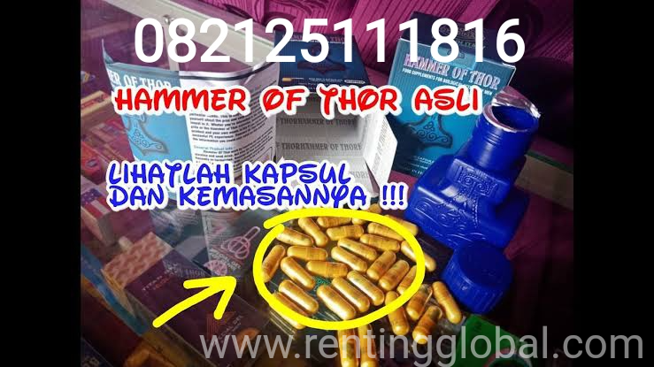 www.rentingglobal.com, renting, global, Tangerang, Tangerang City, Banten, Indonesia, hammer of thor, hammer of thor asli, hammer of thor italy, hammer of thor original, obat hammer of thor, jual hammer of thor, harga hammer of thor, agen hammer of thor, distributor hammer of thor, hammer of thor murah, ciri ciri hammer of thor asli, ciri ciri hammer of thor palsu, ciri ciri hammer of thor asli dan palsu, perbedaan hammer of thor asli dan palsu, cara membedakan hammer of thor asli dan palsu, hammer of thor semarang, hammer of thor jogja, hammer of thor bekasi, hammer of thor jakarta, hammer of thor bandung, hammer of thor bandung, hammer of thor surabaya, hammer of thor tangerang., Jual Hammer Of Thor Asli Italy Original 082125111816 | Ciri Ciri Hammer Of Thor Asli Dan Palsu