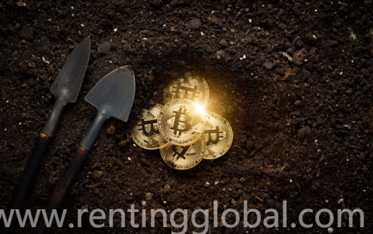 www.rentingglobal.com, renting, global, Turkey, Bitcoin trading platform IB, freelance, high commission