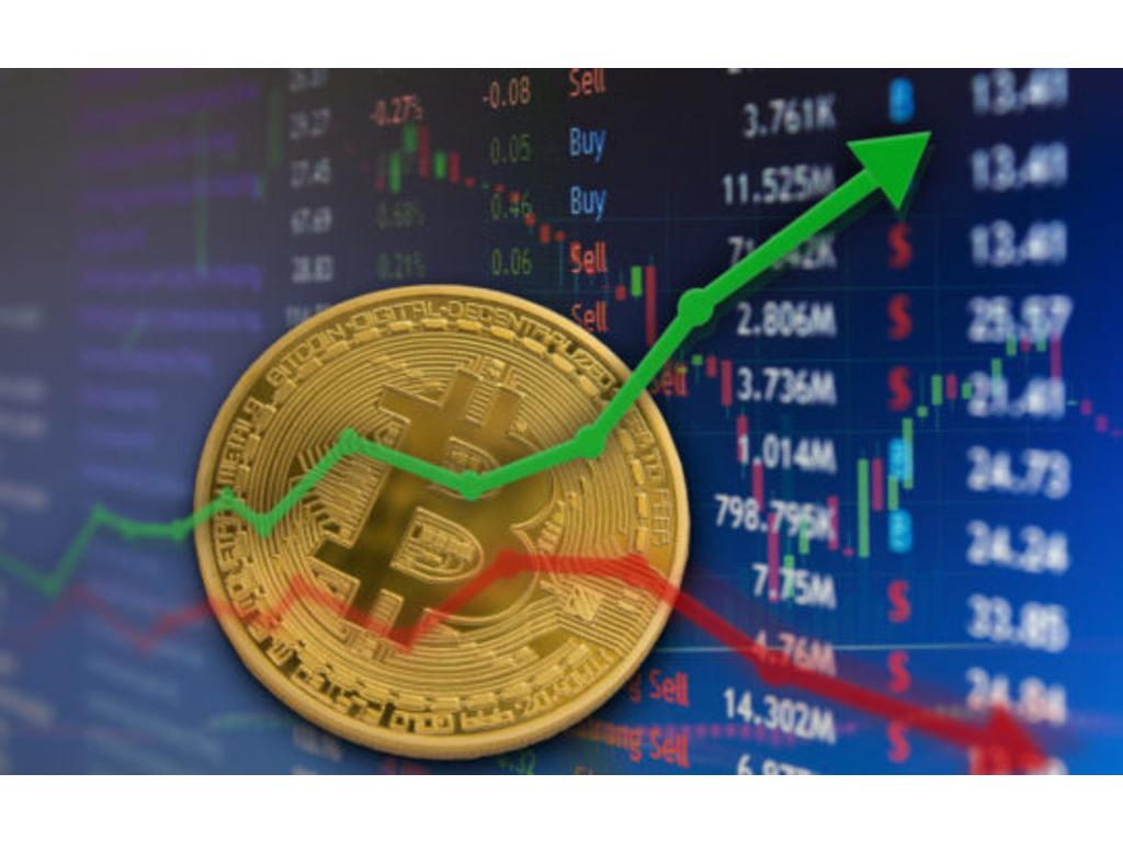 www.rentingglobal.com, renting, global, Netherlands, Internet Marketing, Freelance, Financial Platform, Bitcoin