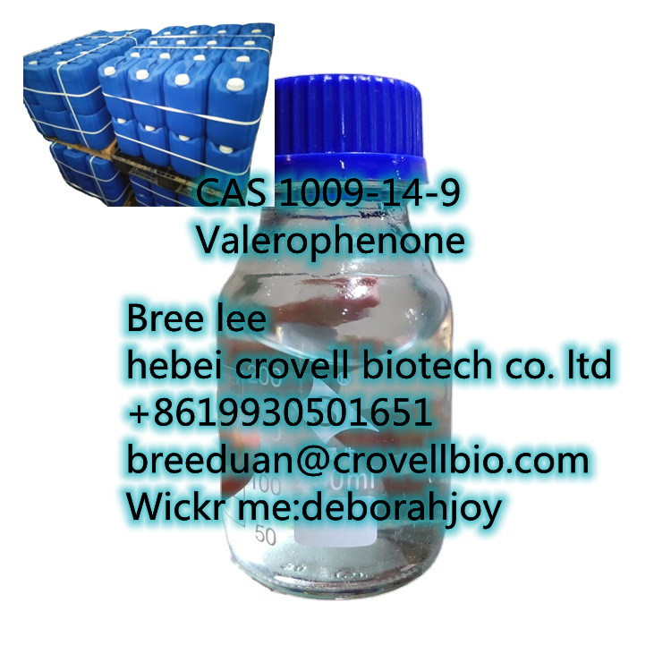 www.rentingglobal.com, renting, global, United States, valerophenone, CAS 1009-14-9 Valerophenone with factory price +86 19930501651