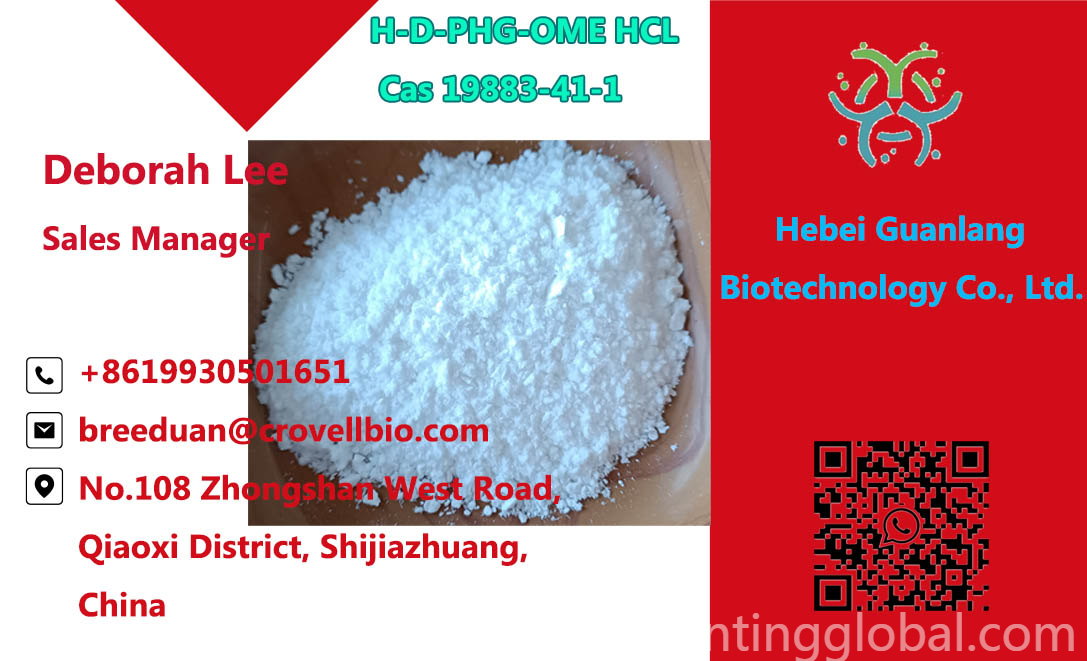 www.rentingglobal.com, renting, global, Zhong Shan Xi Lu, Qiao Xi Qu, Shi Jia Zhuang Shi, He Bei Sheng, China, h-d-phg-ome hcl,cas 19883-41-1,h-d-phg-ome hcl cas 19883-41-1, New Arrival H-D-PHG-OME HCL Cas 19883-41-1 with Good Price ( +8619930501651