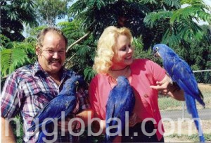 www.rentingglobal.com, renting, global, Aiea, HI 96701, USA, kingsleybills4@gmail.com, Talking Female Hyacinth Macaw Parrot