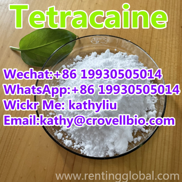 www.rentingglobal.com, renting, global, Hebei, China, cas 5086-74-8 tetracaine ,tetracaine,tetracaine powder,tetracaine supplier,tetracaine price,tetracaine factory,tetracaine manufatcurer, Tetracaine manufacturer supply CAS 94-24-6 Tetracaine +8619930505014